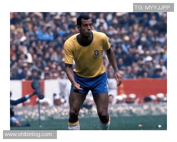 十三号足球后卫球星盘点 世界足坛精彩人物与传奇球员回顾