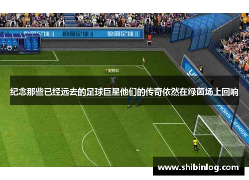 纪念那些已经远去的足球巨星他们的传奇依然在绿茵场上回响