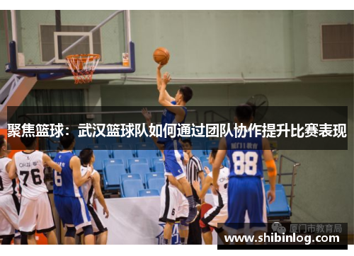 聚焦篮球：武汉篮球队如何通过团队协作提升比赛表现