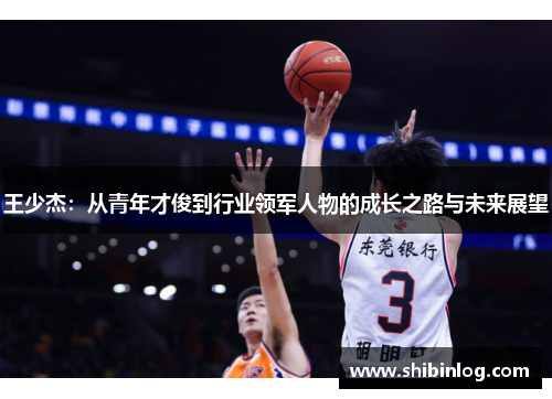 王少杰：从青年才俊到行业领军人物的成长之路与未来展望